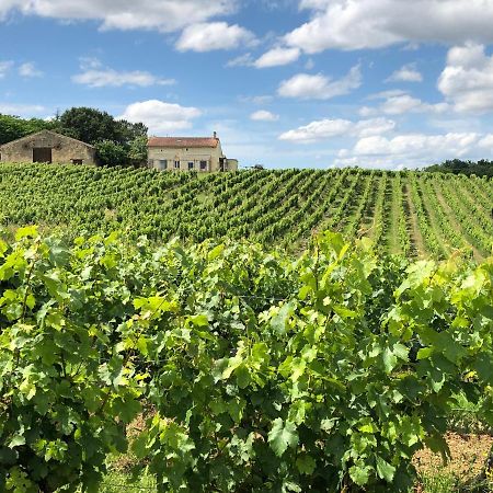 Chateau Le Truch Montussan Exteriör bild
