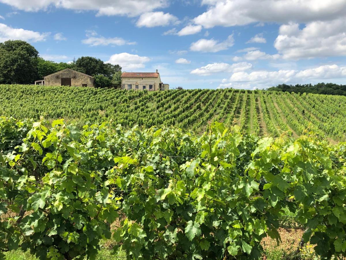 Chateau Le Truch Montussan Exteriör bild